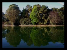 lagodechapultepec 0003